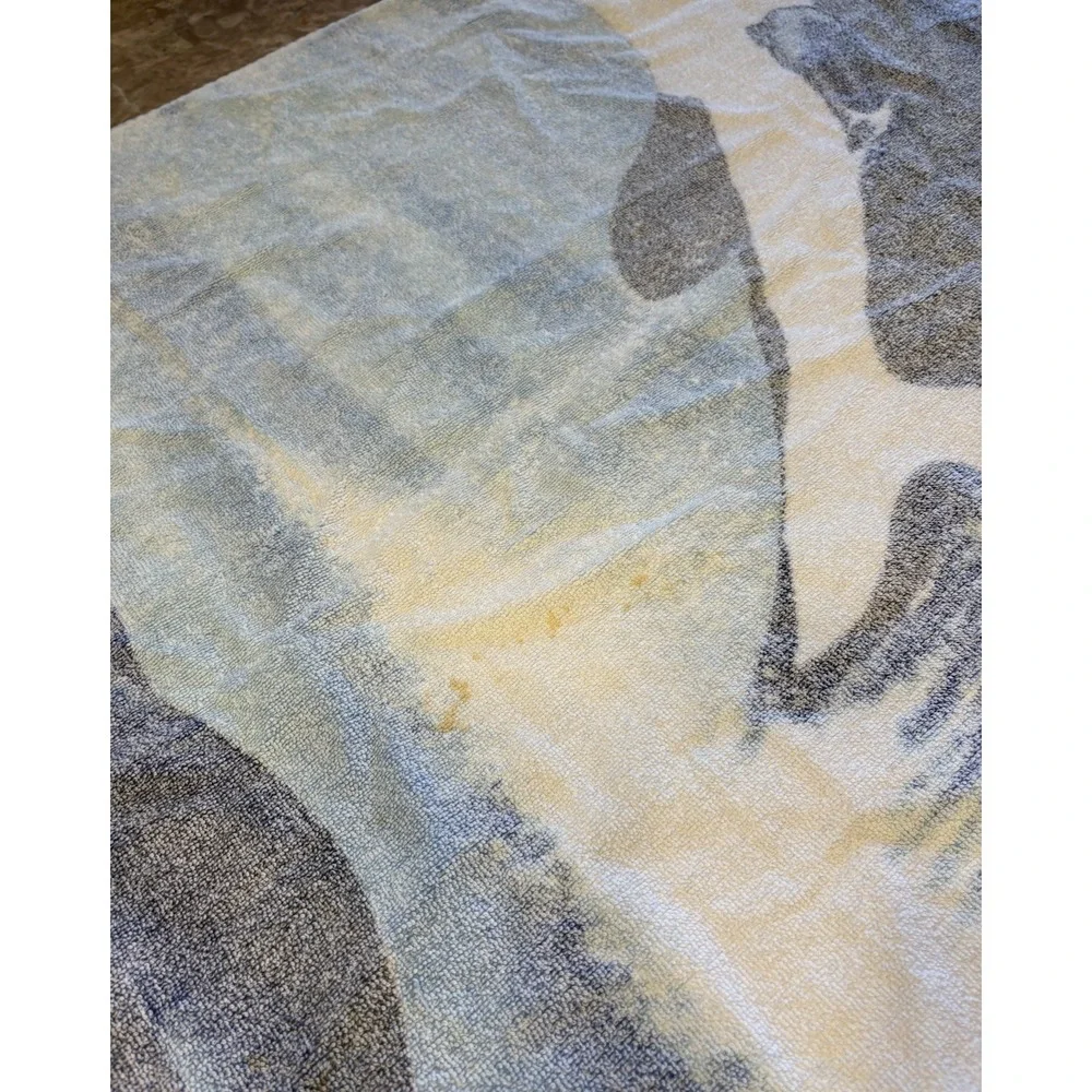 Vintage Whale Florida Ocean Beach Towel Whales Under the Sea Aquatic 26